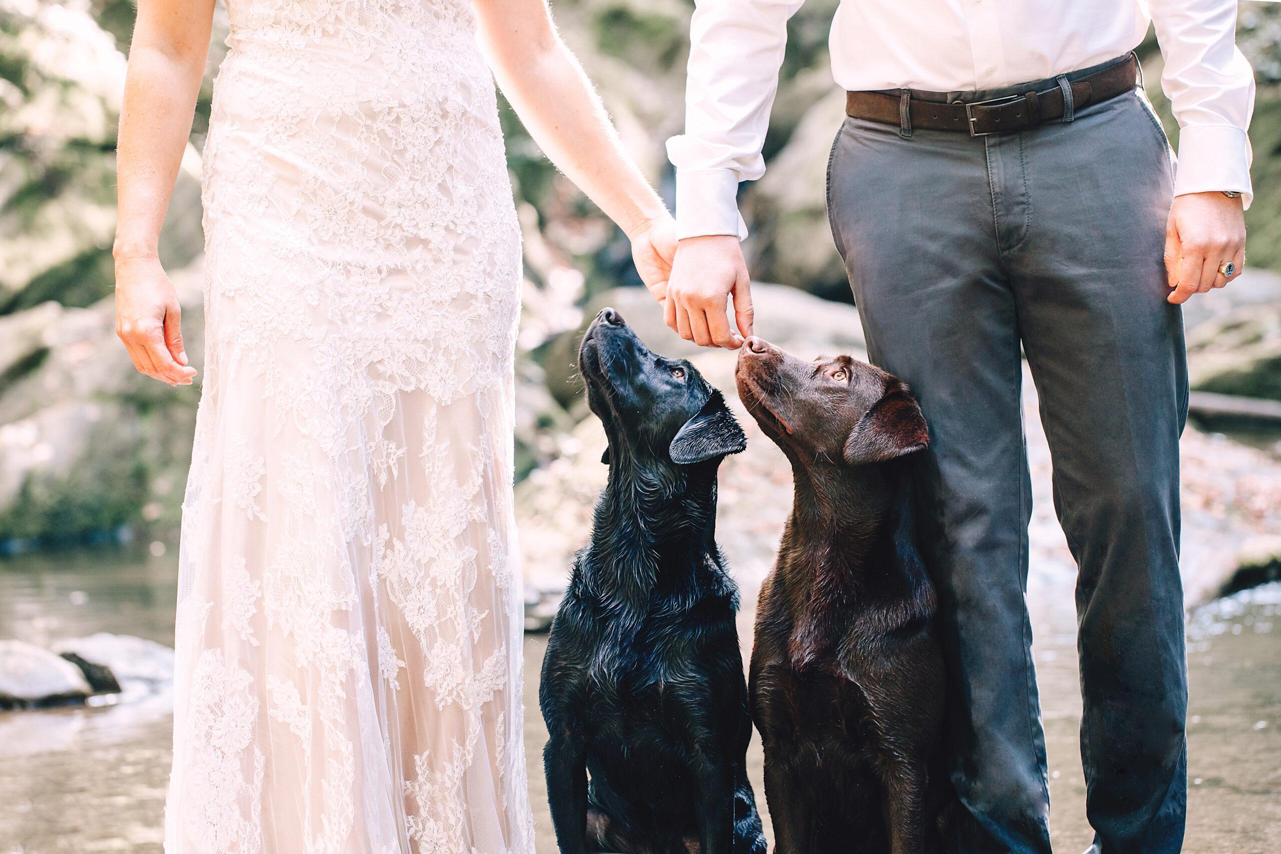 Hochzeitspaar mit Hund bei einer Bergkulisse.