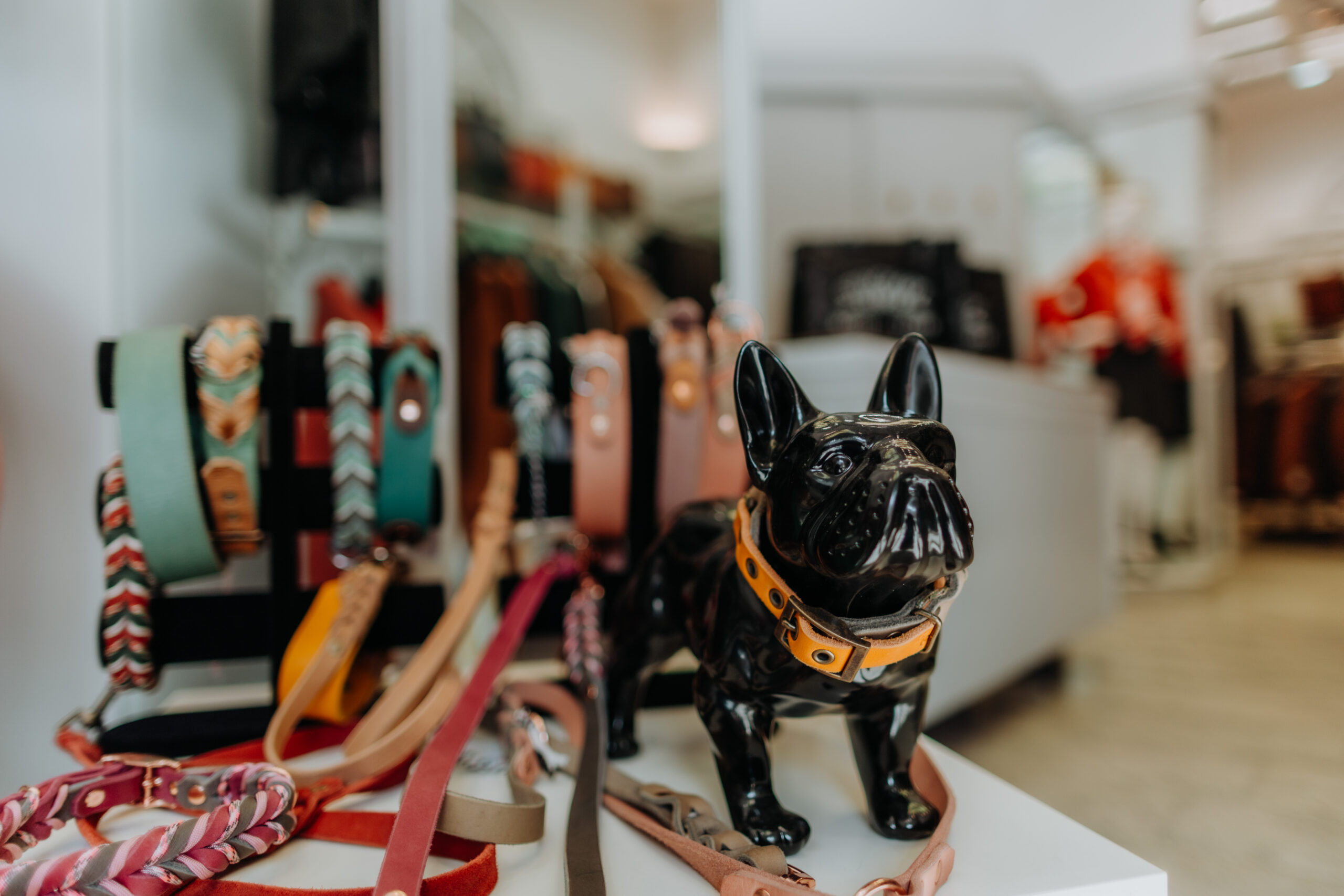 Hochwertige Lederjacke maßgefertigt – Leder Stoichart Graz