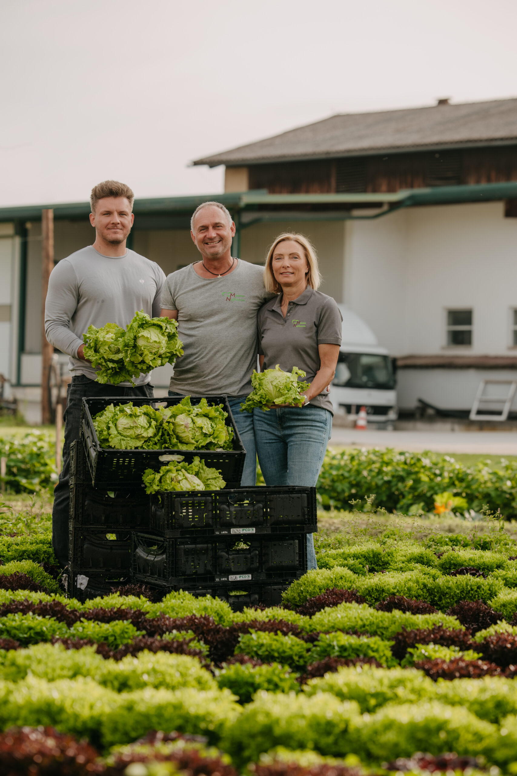 Familienbetrieb Nussbaumer bei der Salaternte in der Steiermark