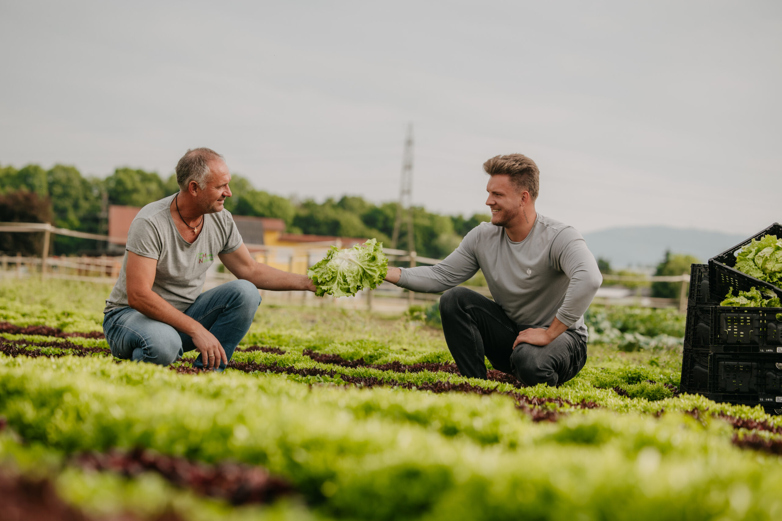 Authentische Einblicke in die Landwirtschaft eines steirischen Familienbetriebs