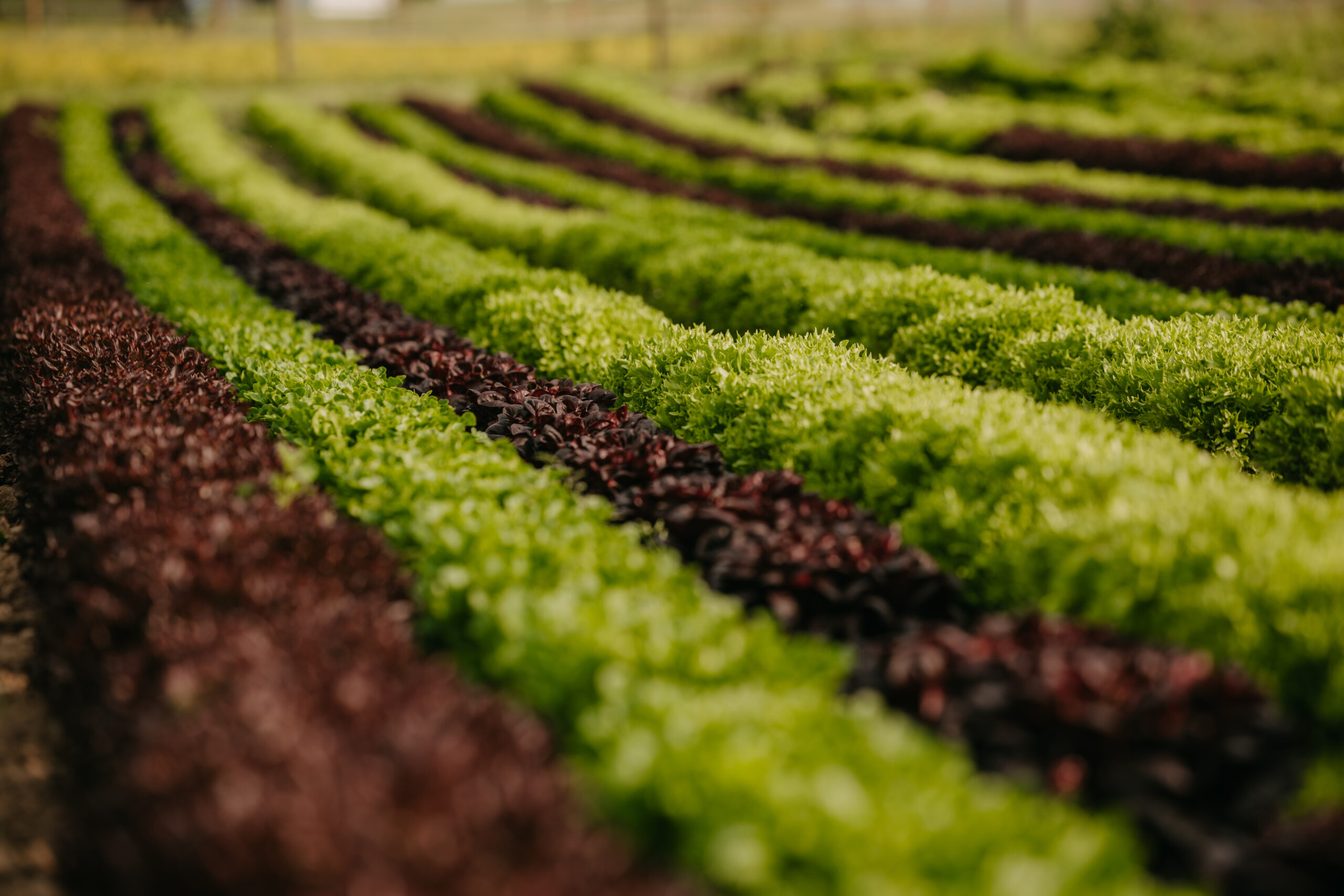 Authentische Businessfotografie eines landwirtschaftlichen Familienbetriebs