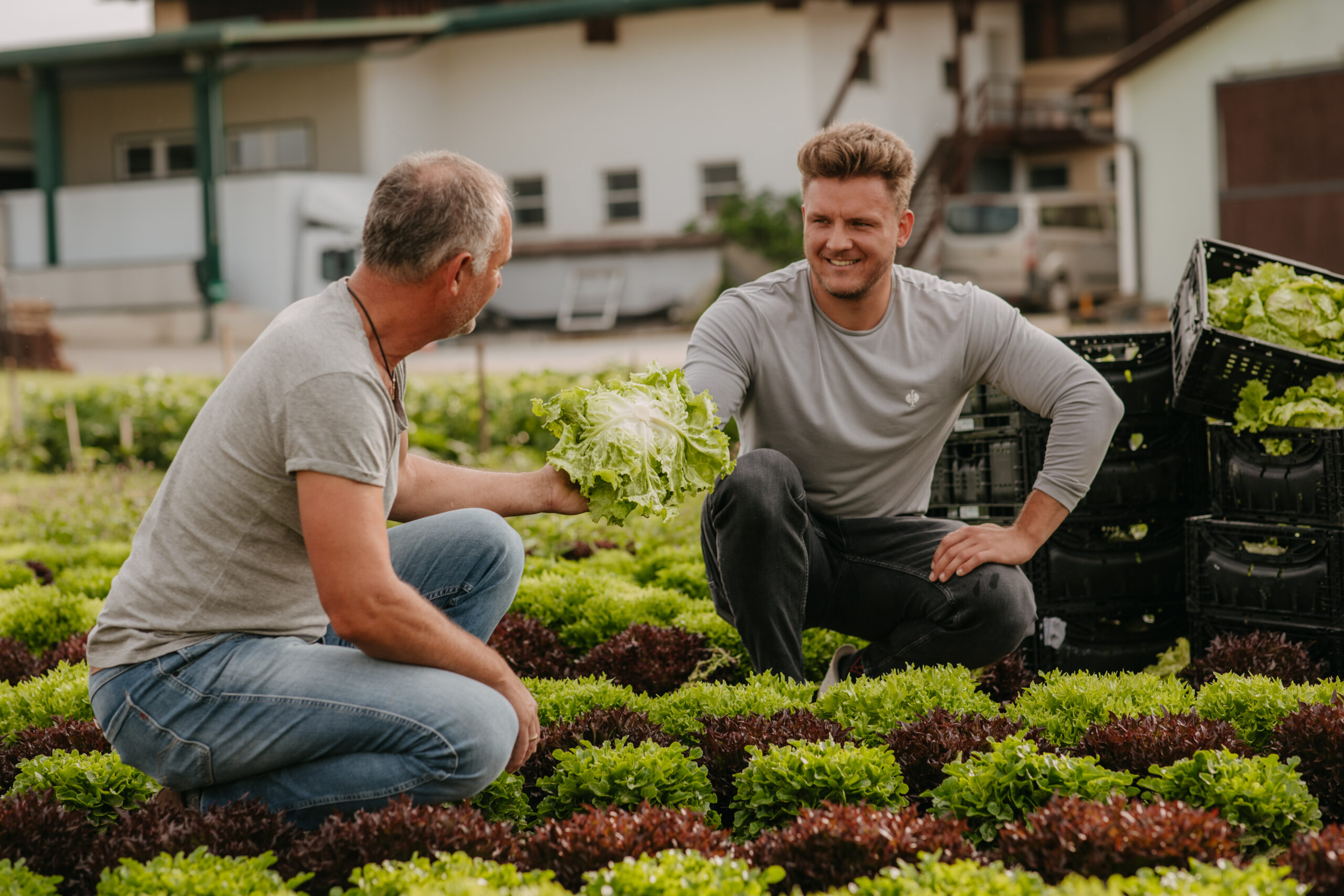 Imagefotografie Landwirtschaft – Arbeiten am Feld in Thondorf