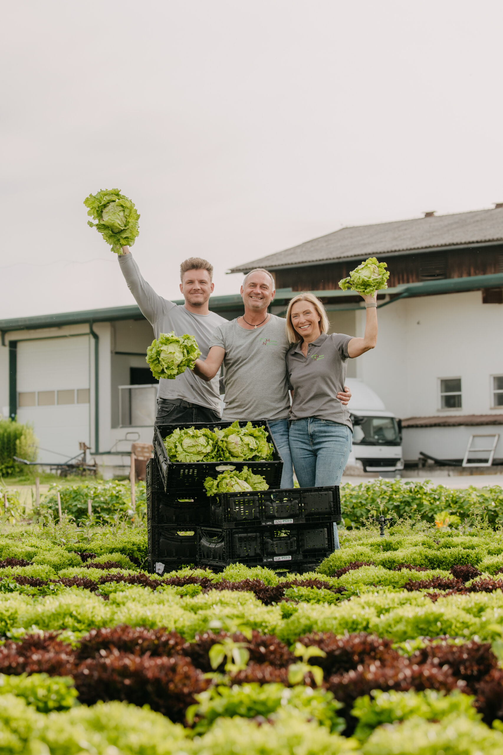Familienbetrieb Nussbaumer bei der Salaternte in der Steiermark