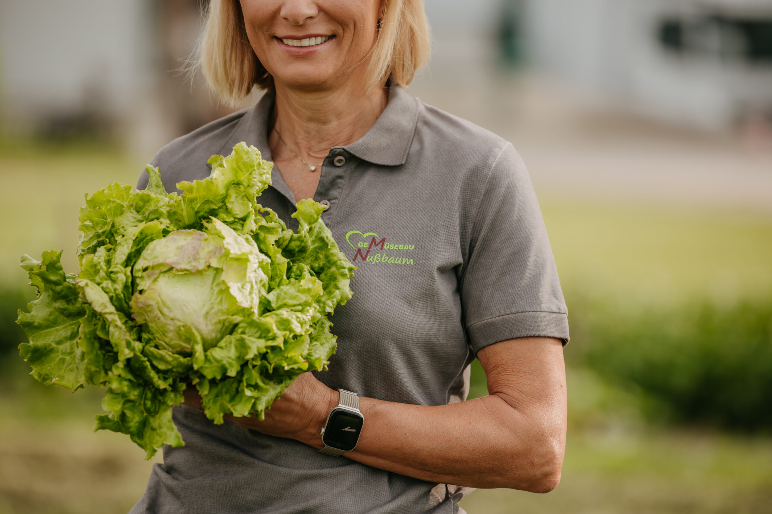 Familienbetrieb Nussbaumer bei der Salaternte in der Steiermark