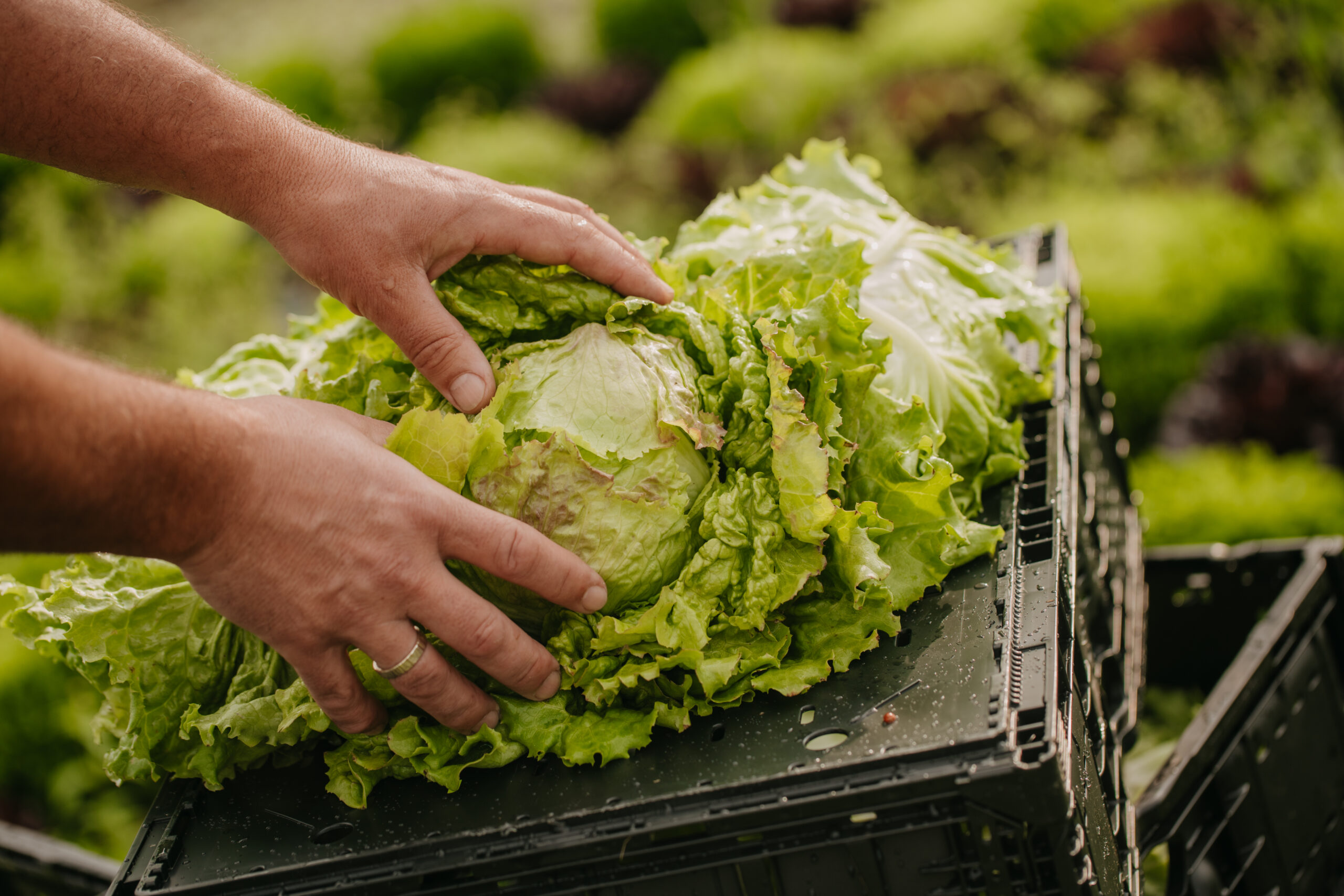Echte Momente aus der Landwirtschaft – Reportage am Feld