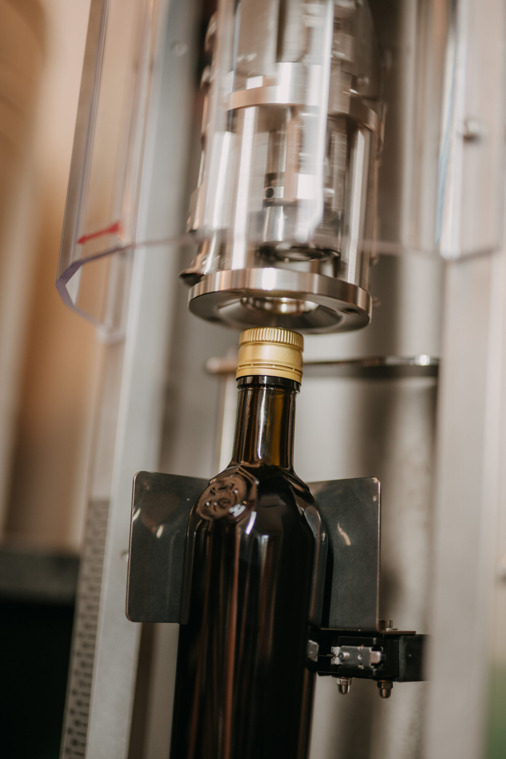 Steirisches Kürbiskernöl hochwertig produziert – regionale Spezialität