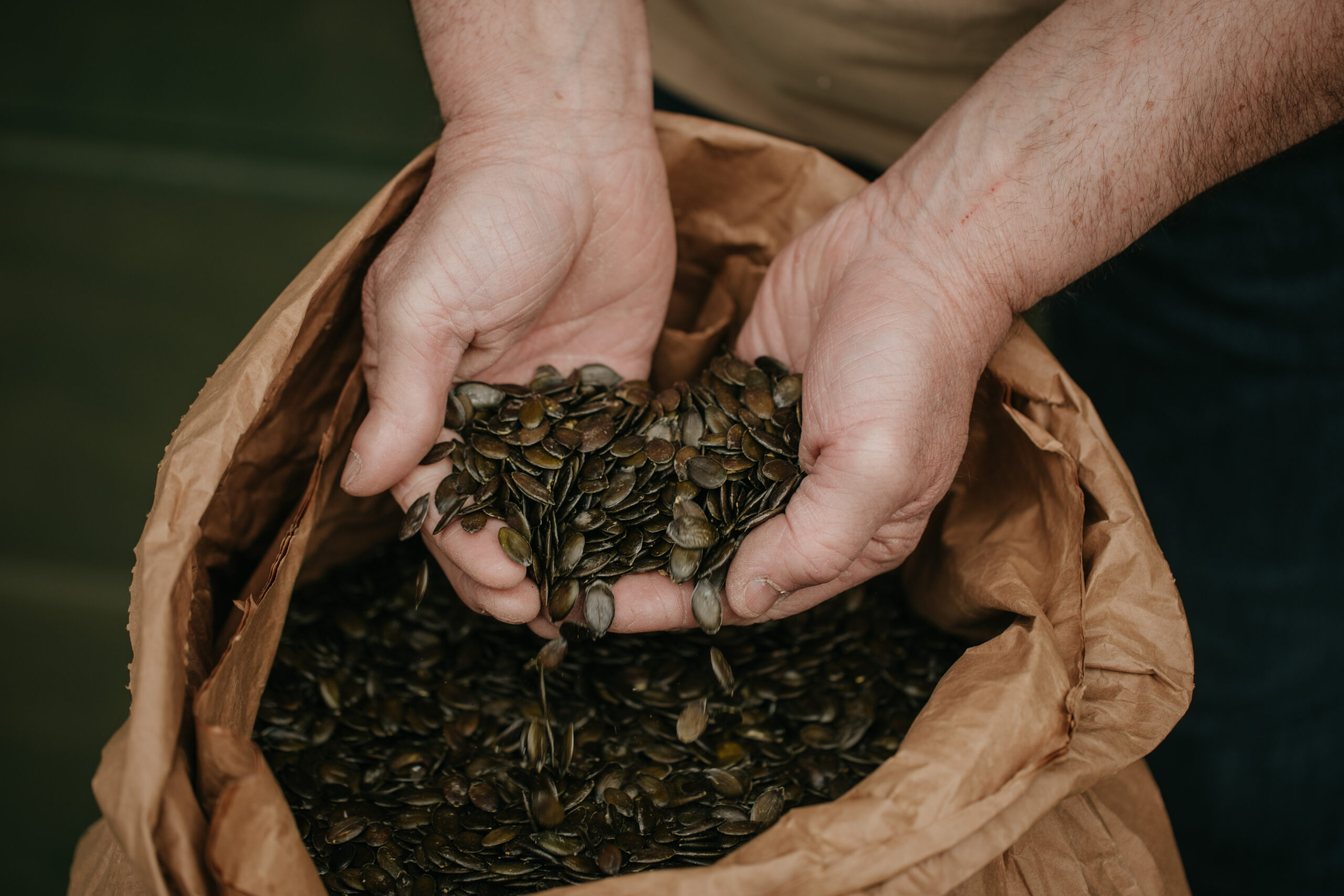 Geröstete Kürbiskerne aus der Steiermark – Produktfotografie