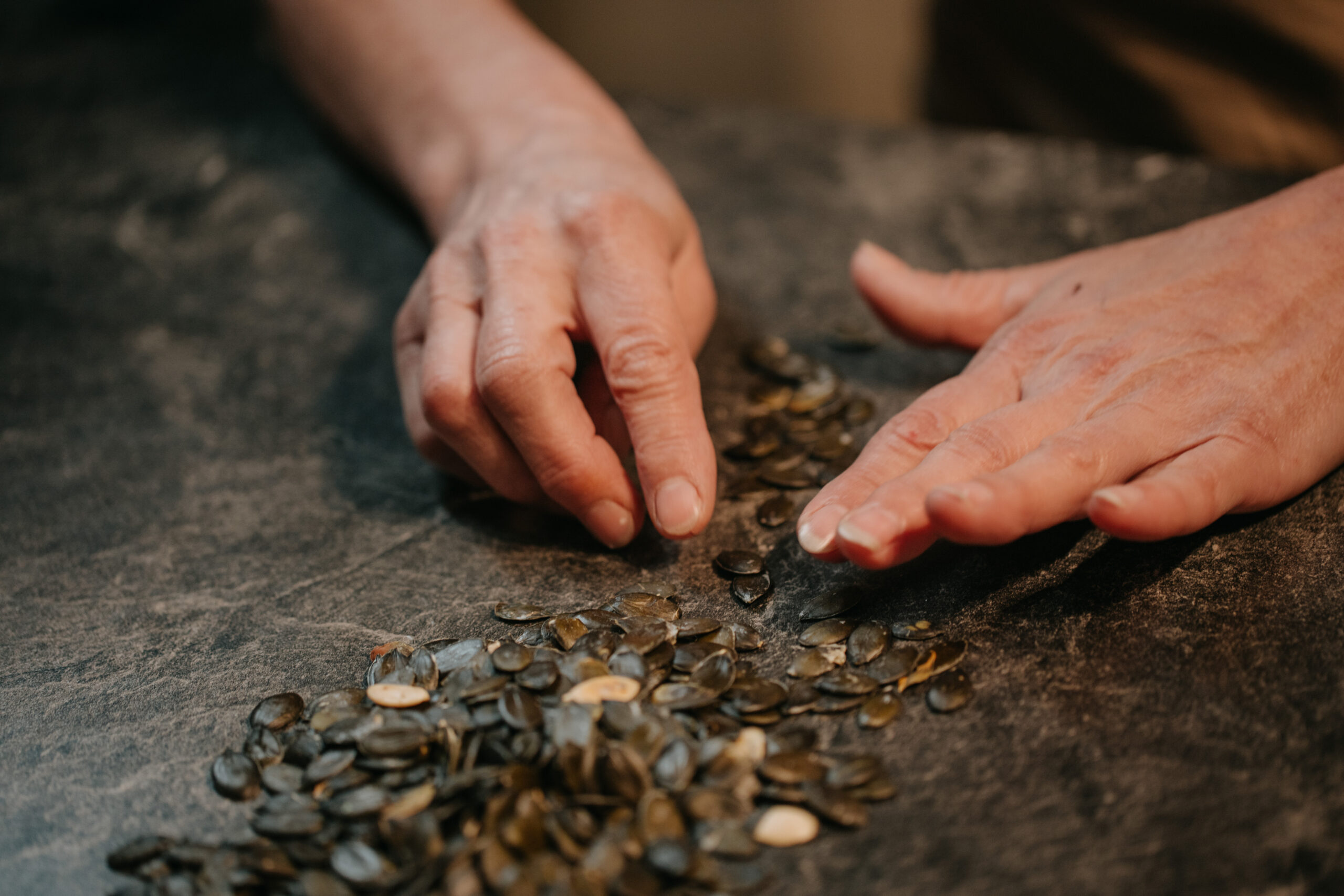 Steirisches Kürbiskernöl hochwertig produziert – regionale Spezialität