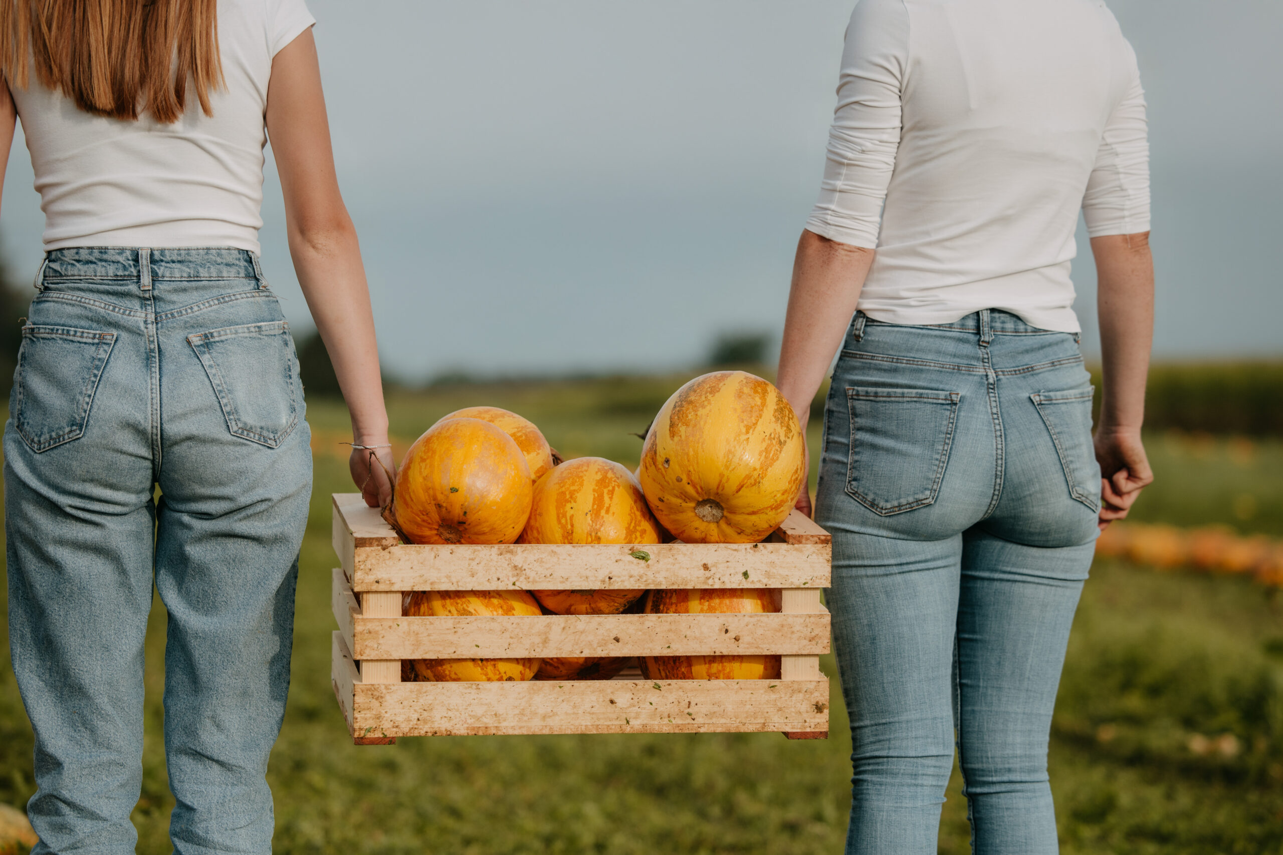 Imagefotografie Landwirtschaft – authentische Einblicke