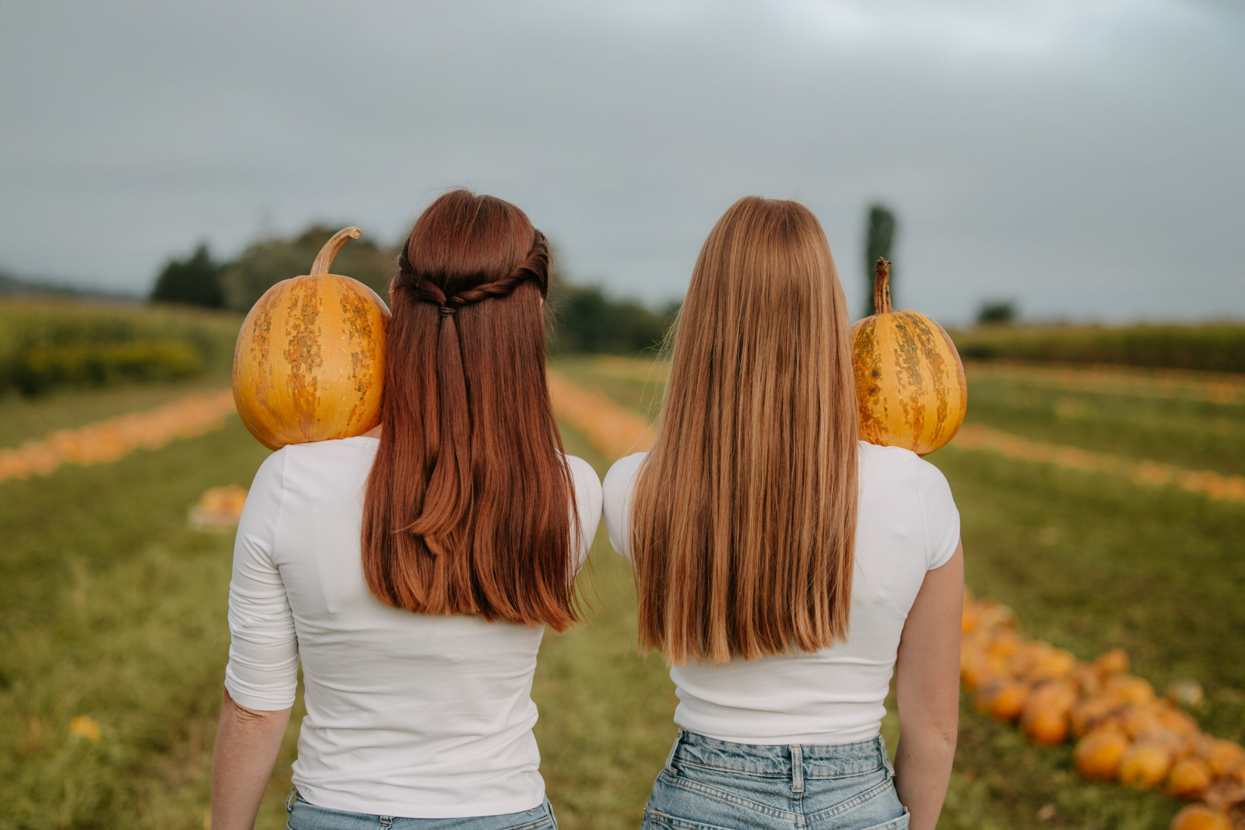 Imagefotografie Landwirtschaft – authentische Einblicke