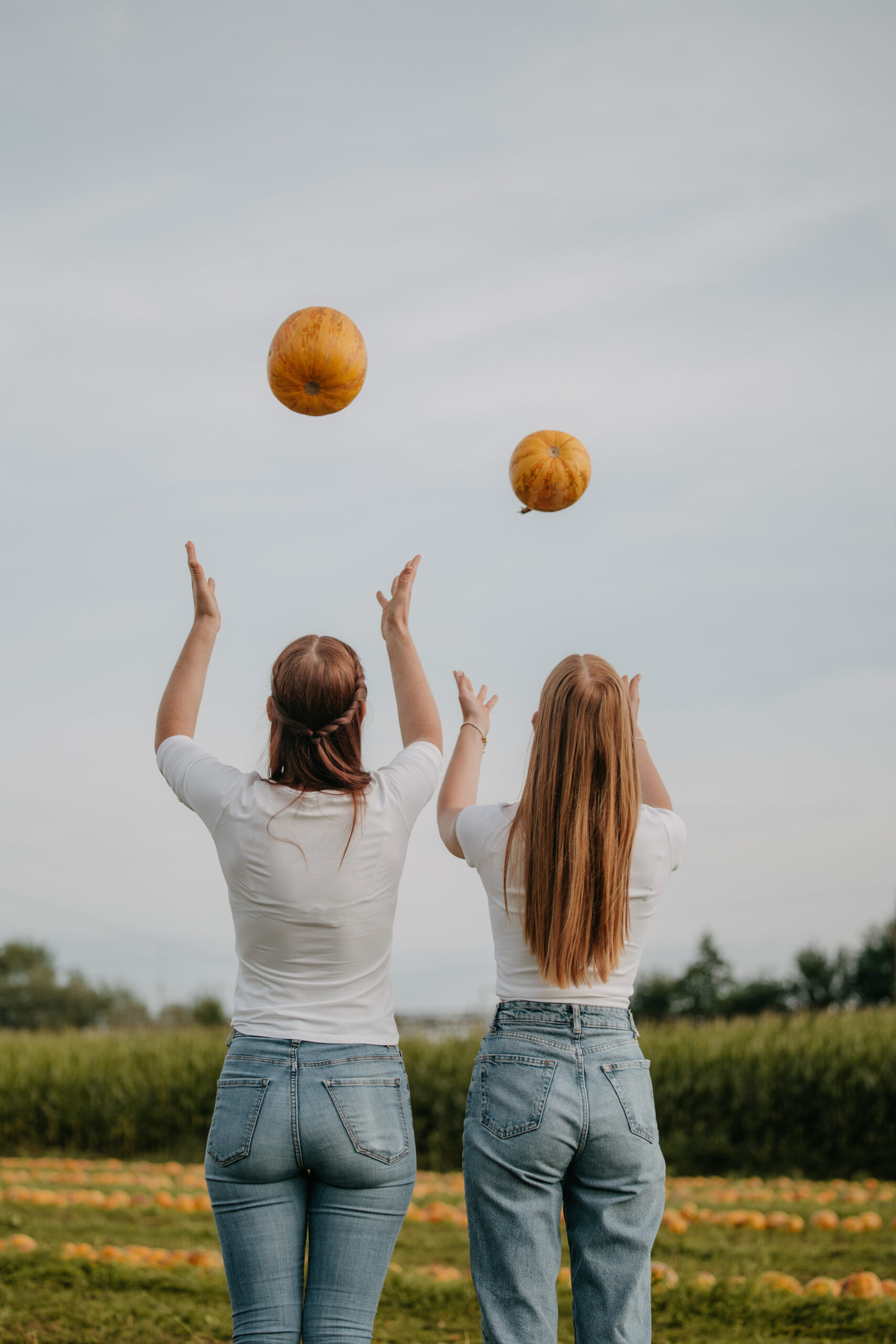 Imagefotografie Landwirtschaft – authentische Einblicke