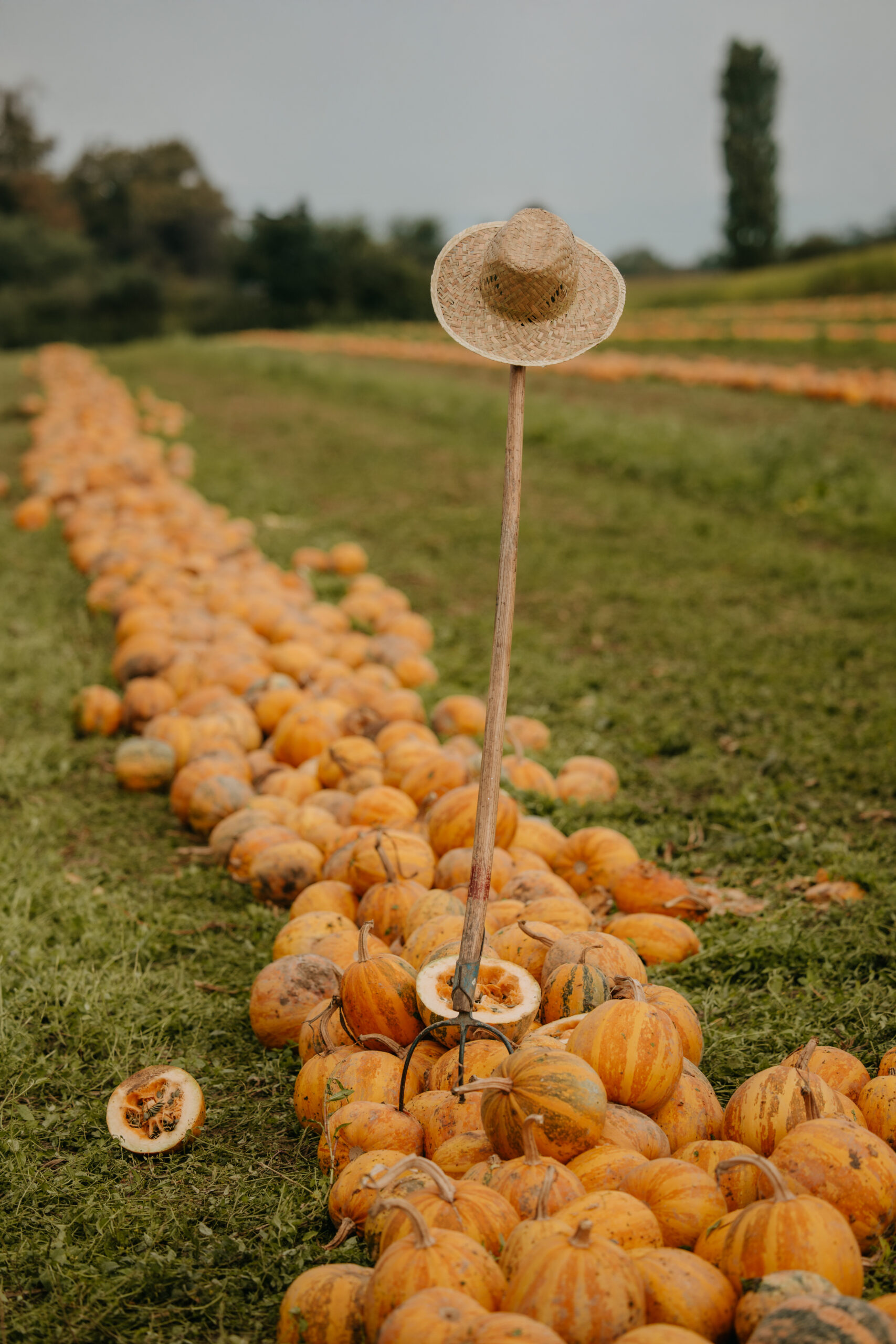 Imagefotografie Landwirtschaft – authentische Einblicke