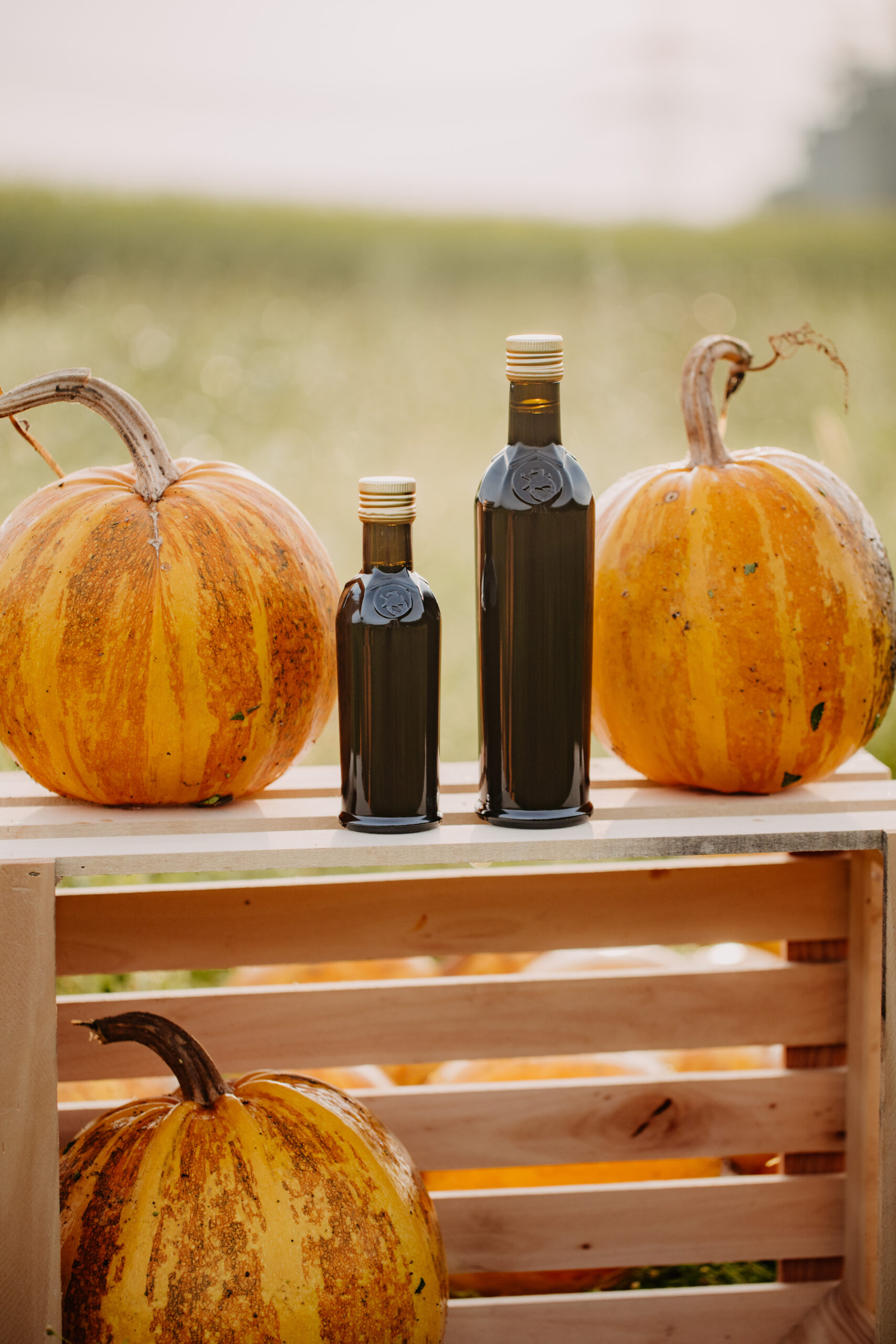 Steirisches Kürbiskernöl hochwertig produziert – regionale Spezialität