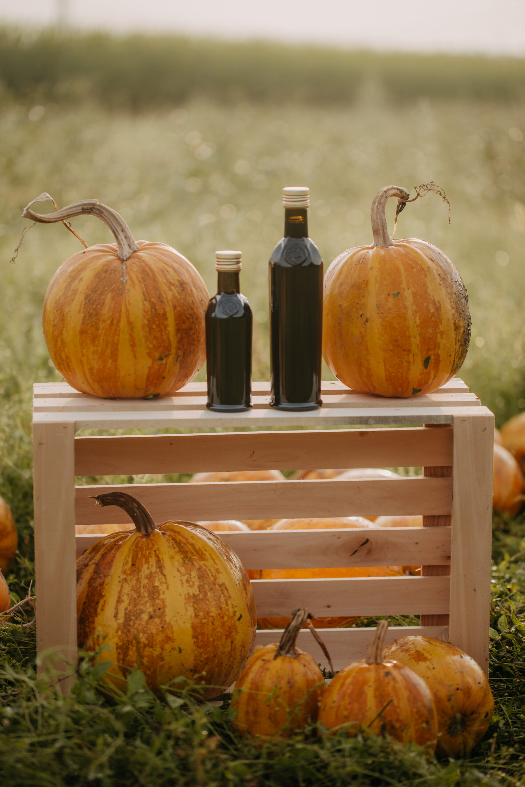 Imagefotografie Landwirtschaft – authentische Einblicke