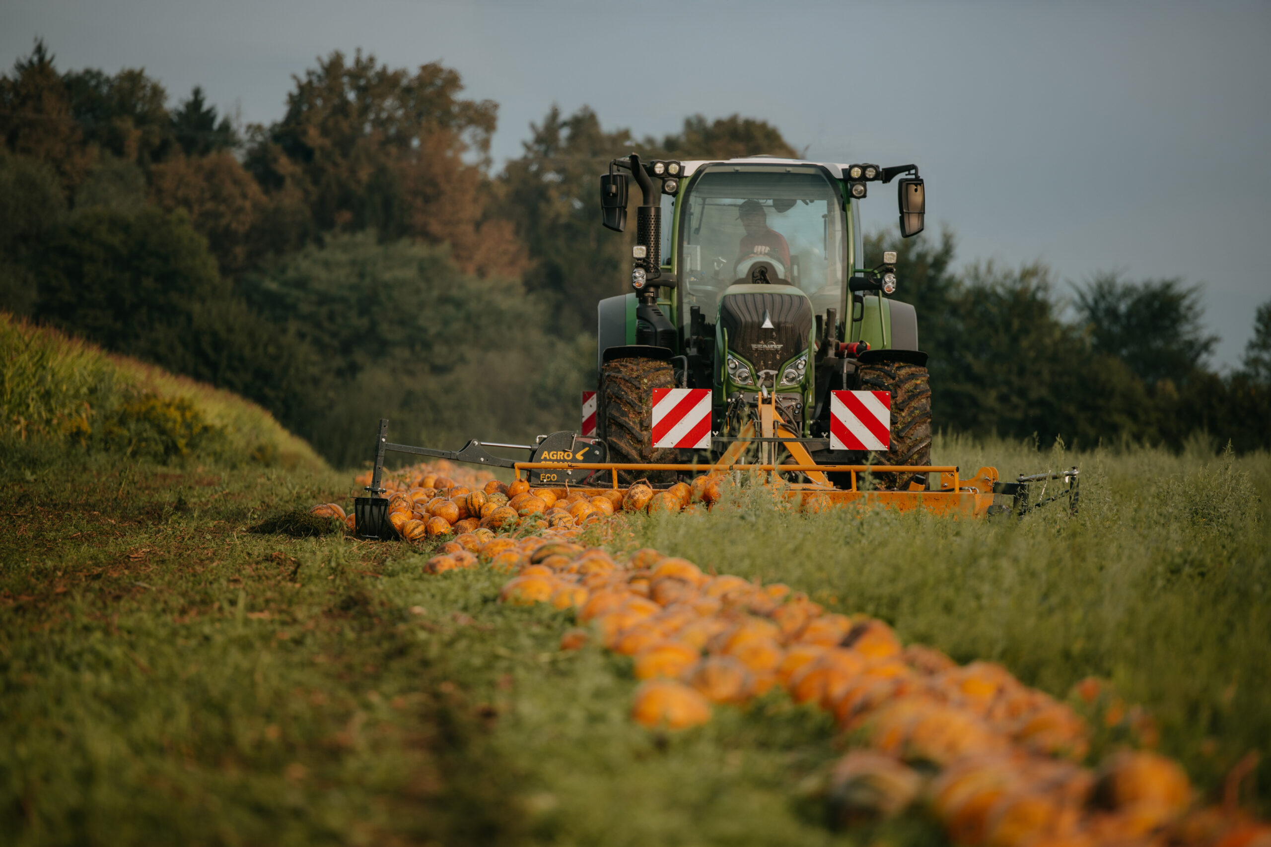 Imagefotografie Landwirtschaft – authentische Einblicke