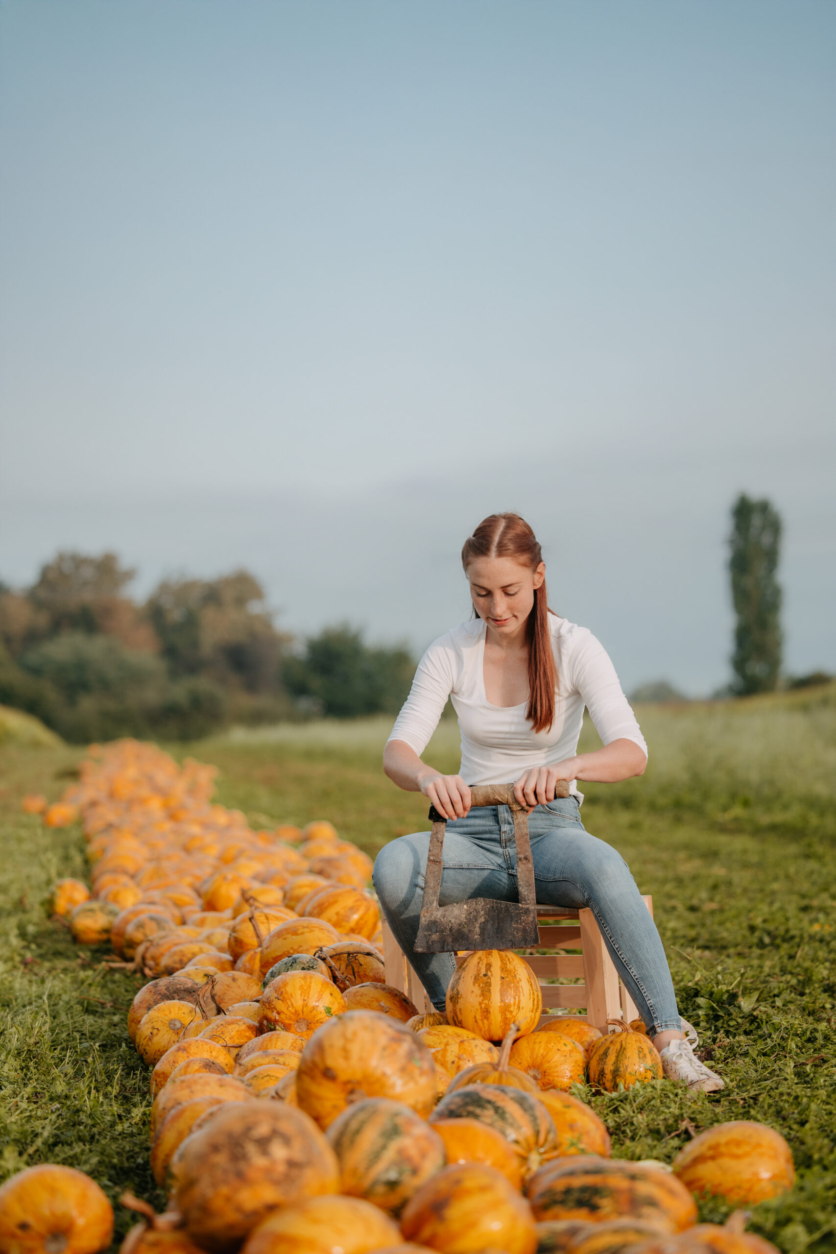 Imagefotografie Landwirtschaft – authentische Einblicke