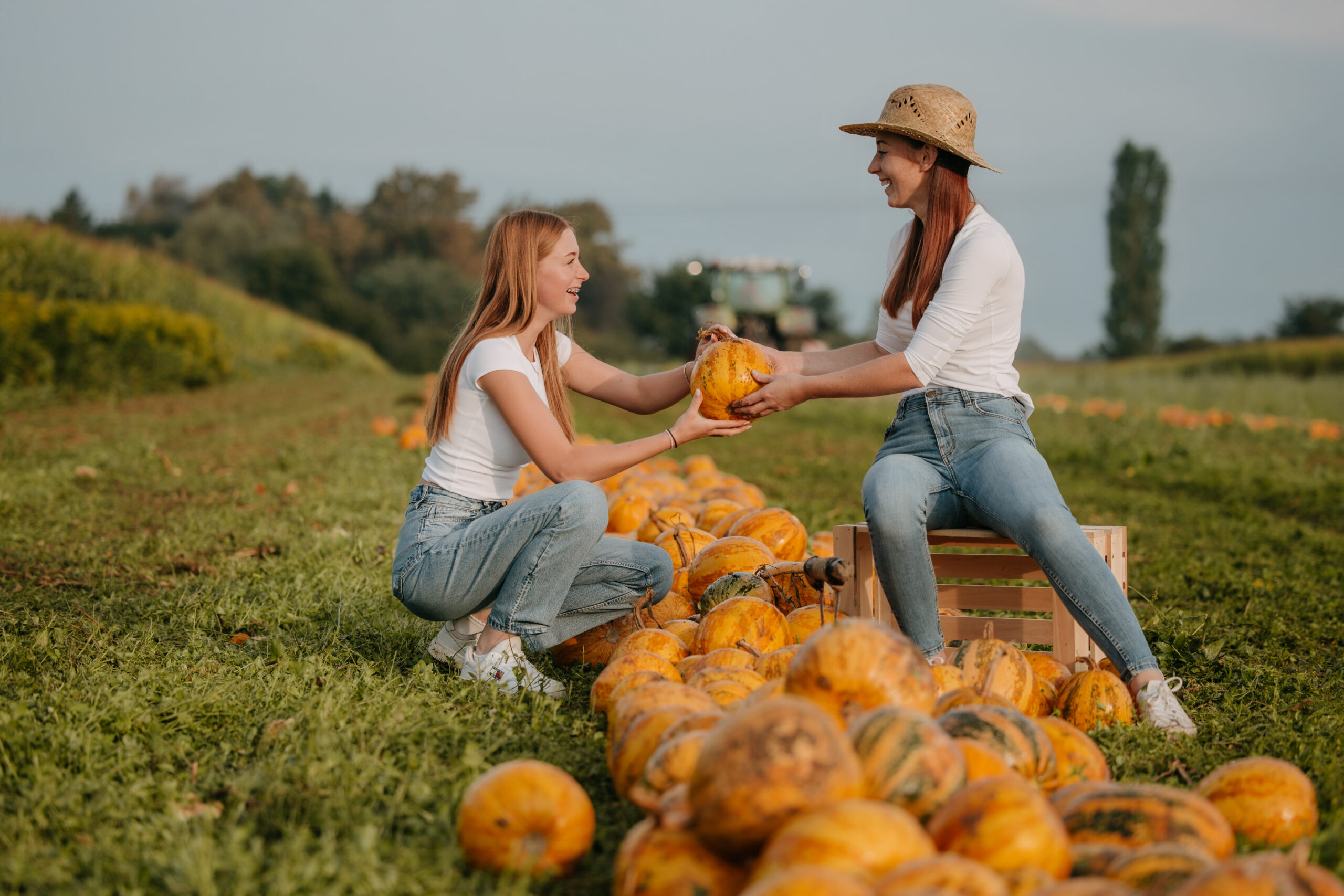 Imagefotografie Landwirtschaft – authentische Einblicke