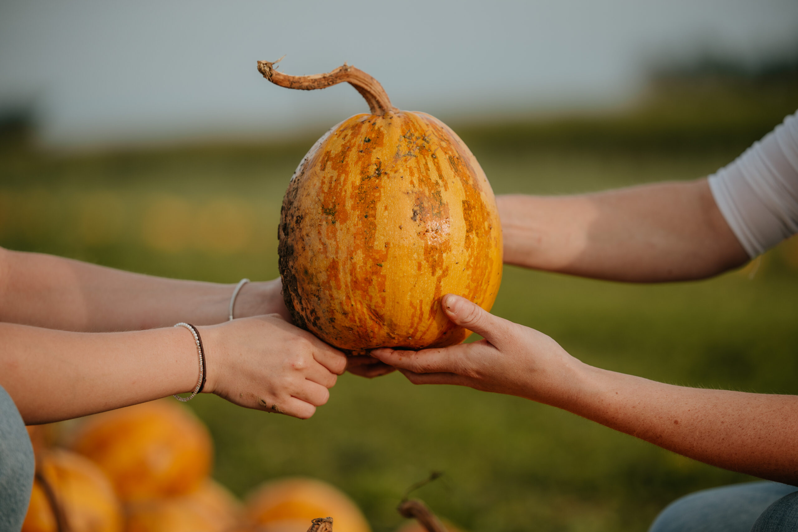 Imagefotografie Landwirtschaft – authentische Einblicke