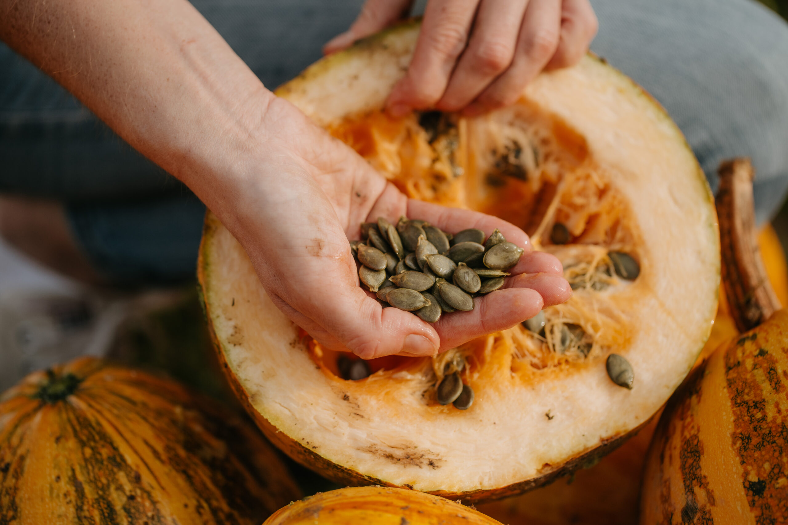 Imagefotografie Landwirtschaft – authentische Einblicke