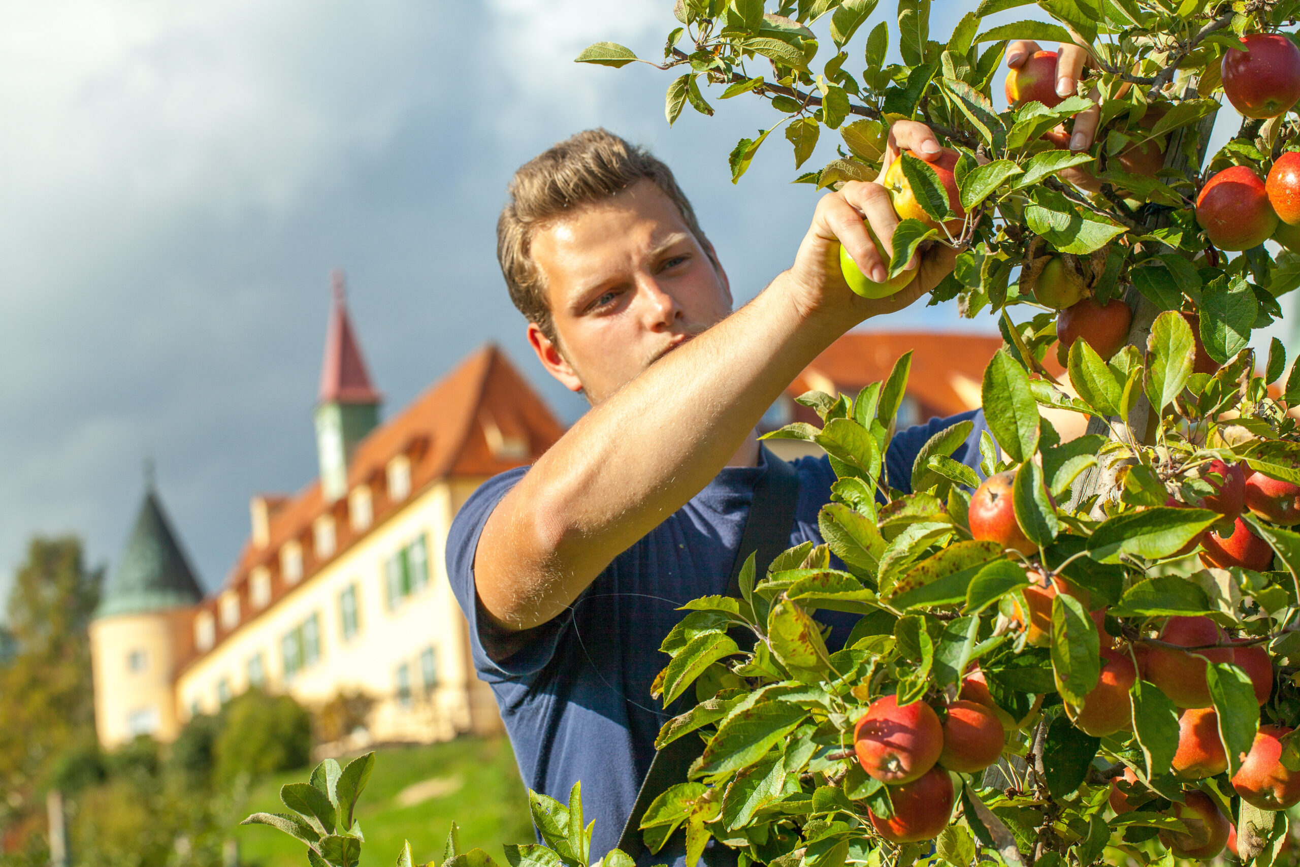 Gartenarbeit im Bildungshaus – Natur erleben