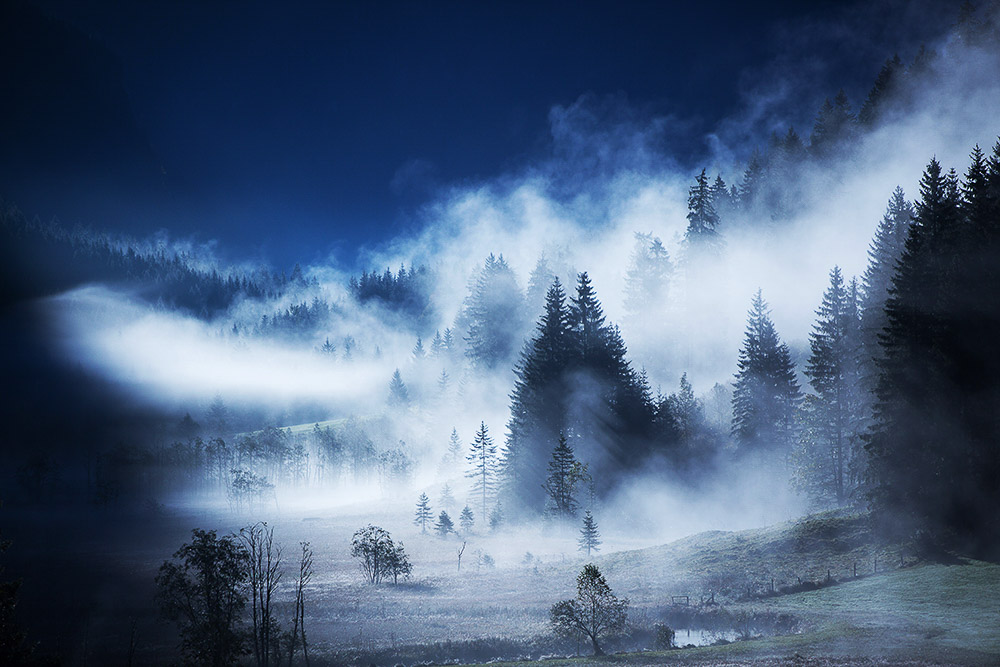 Nebelwald in den Bergen – mystische Stimmung