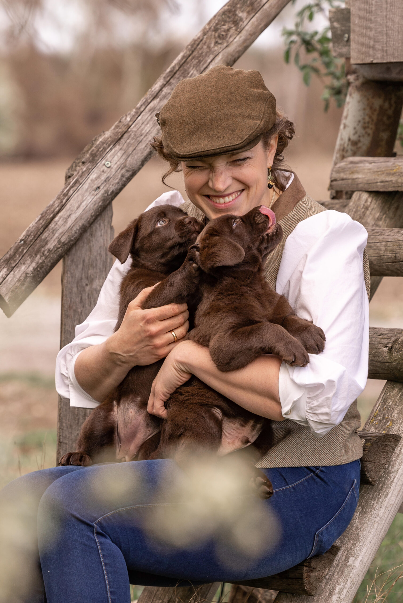 Labrador Welpen aus verantwortungsvoller Zucht in Österreich