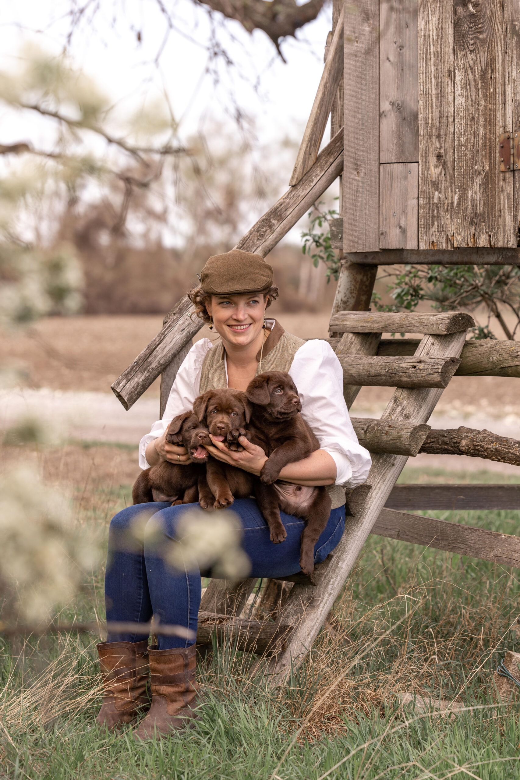 Labrador Zucht – liebevolle Aufzucht von Welpen