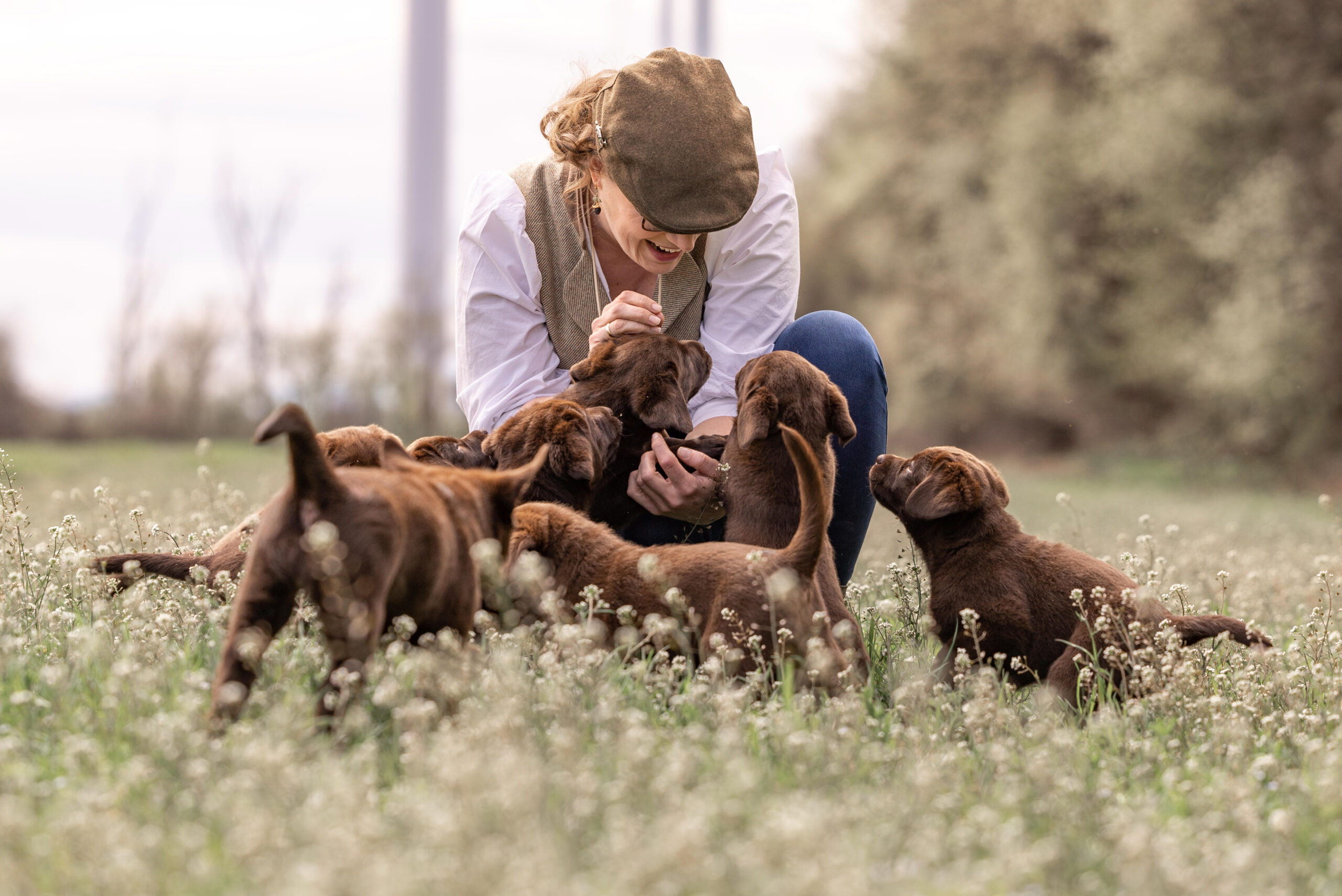 Labrador Welpen aus verantwortungsvoller Zucht in Österreich