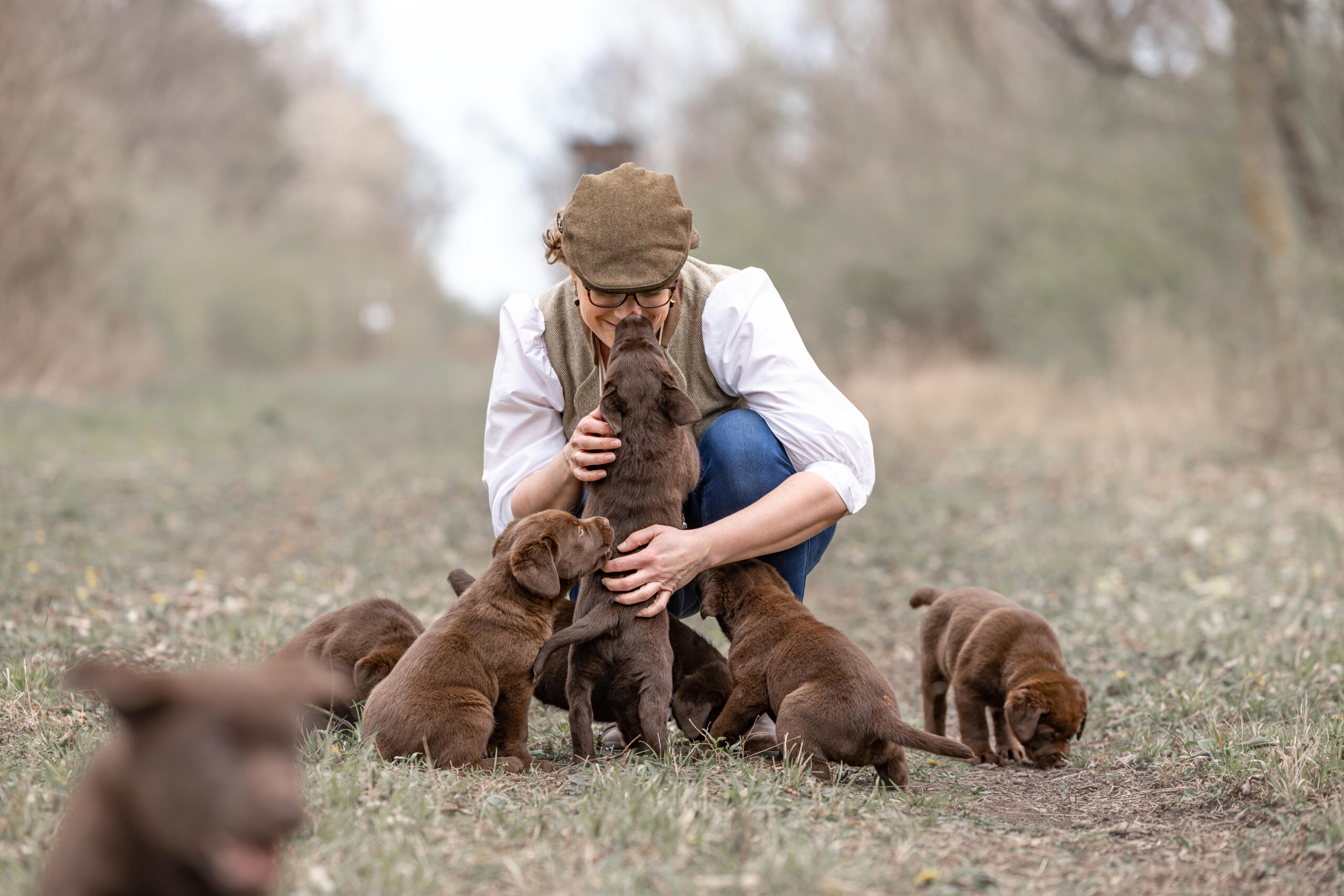 Labrador Zucht – liebevolle Aufzucht von Welpen