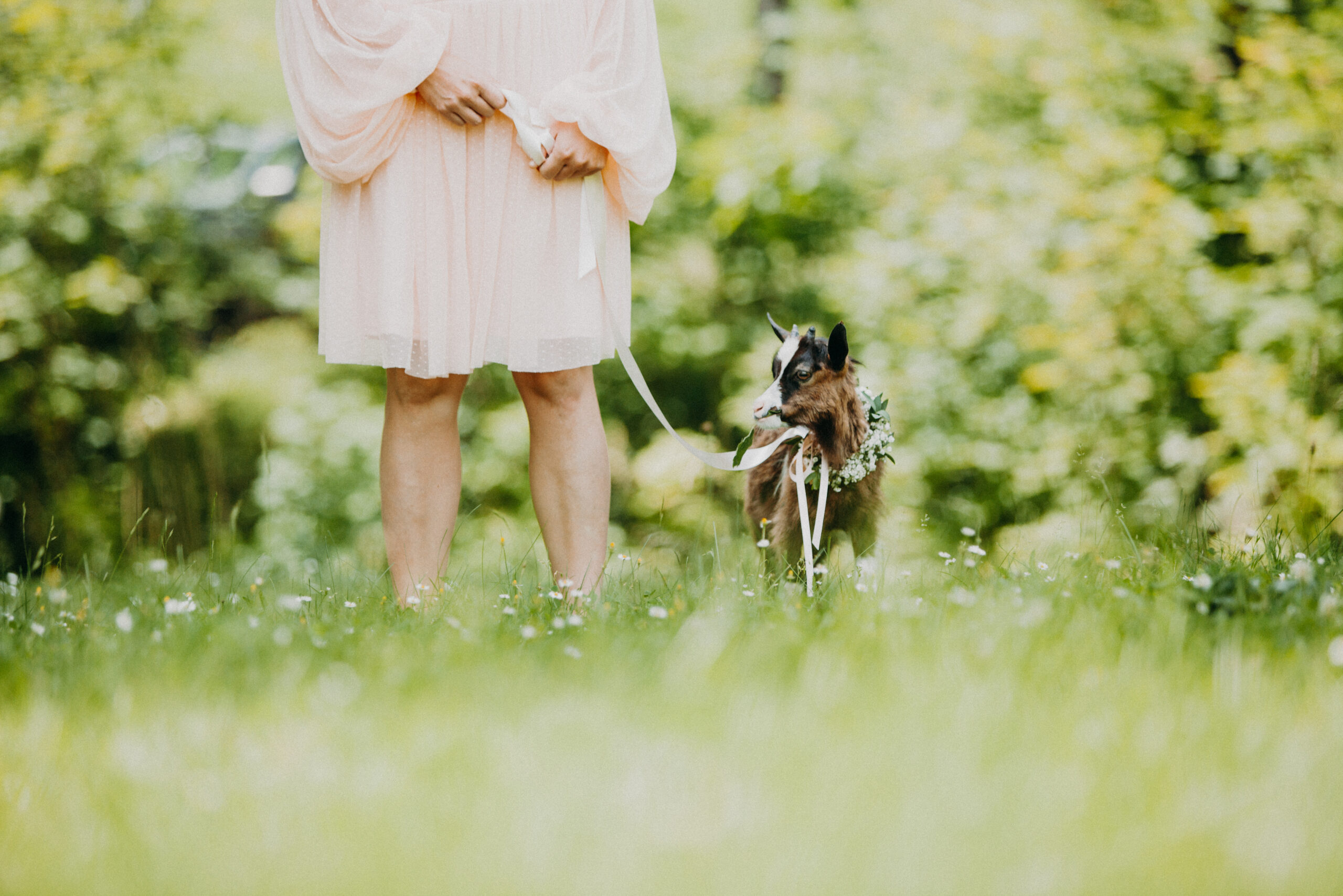 Imagefotografie Biohof Pamer – nachhaltige Landwirtschaft sichtbar gemacht