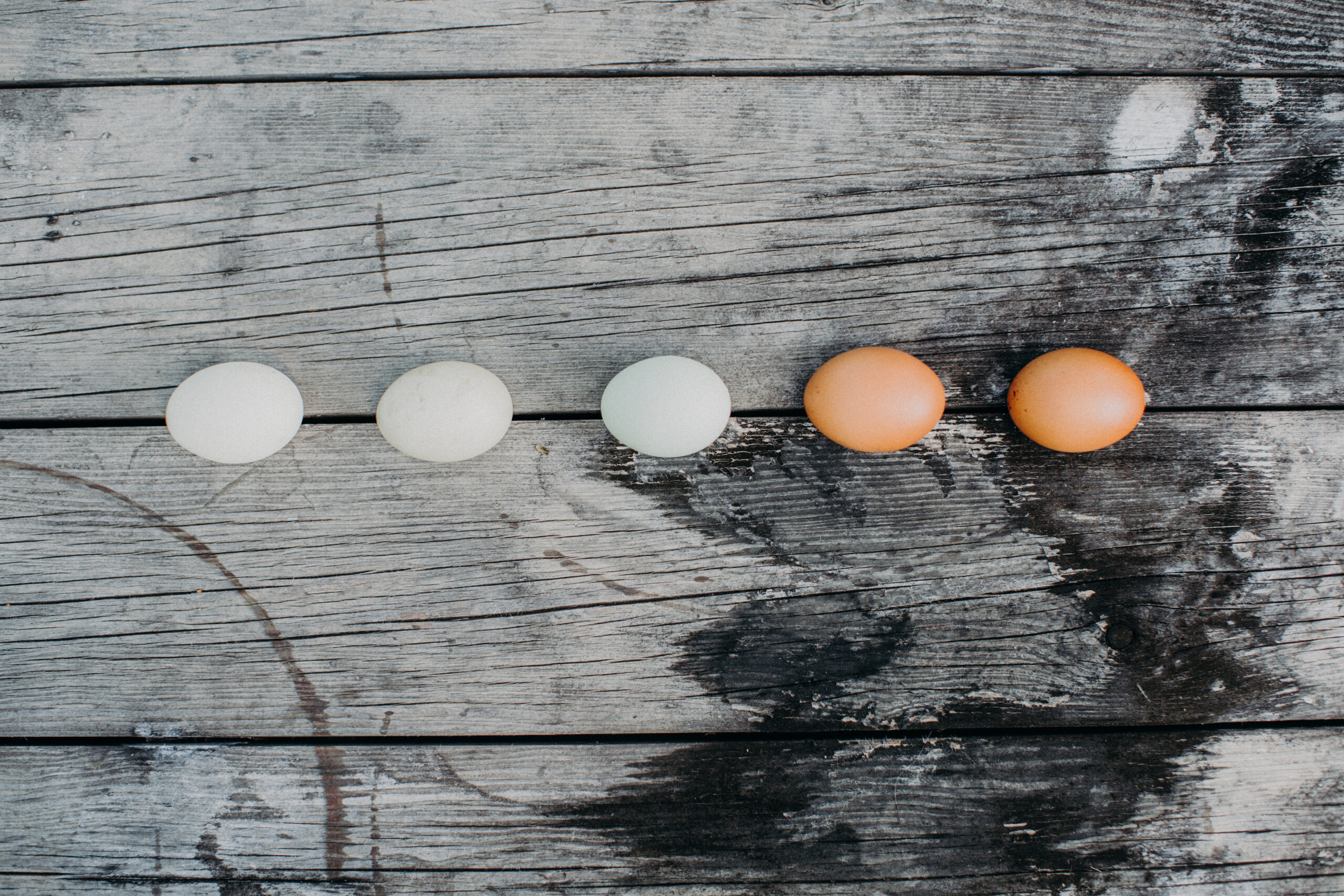 Foodfotografie regionale Spezialitäten aus Österreich