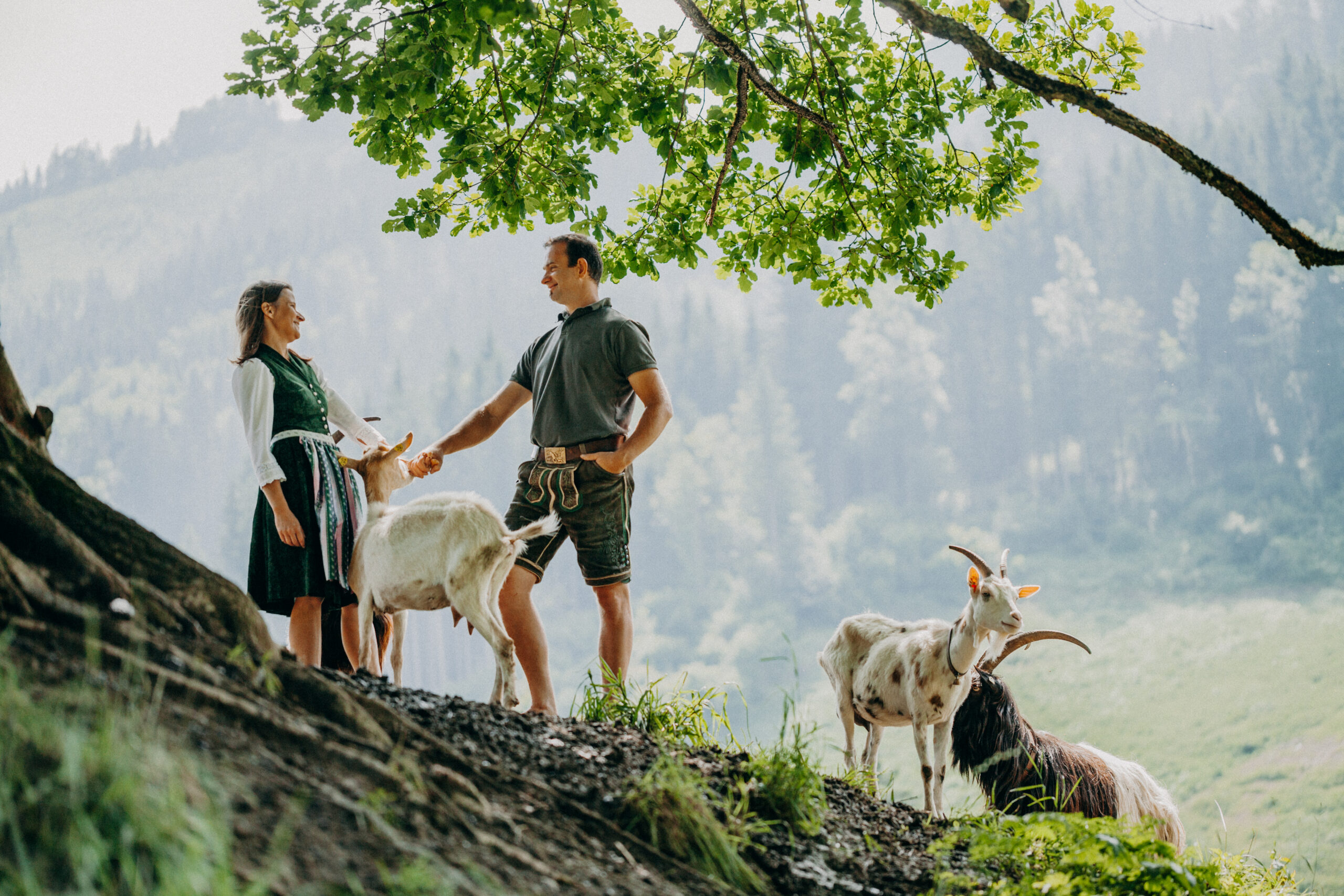 Imagefotografie Biohof Pamer – nachhaltige Landwirtschaft sichtbar gemacht