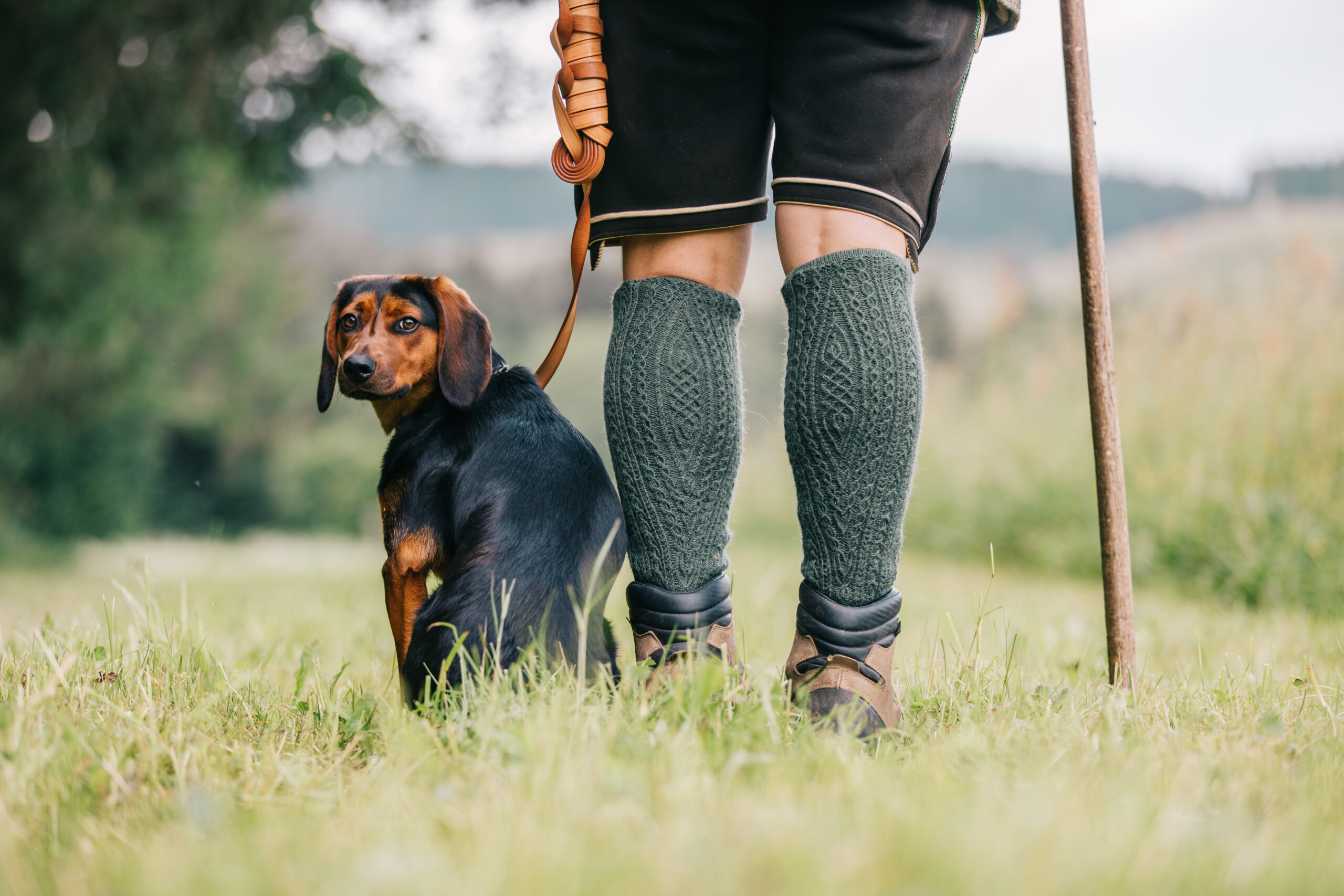 Jagdhund bei Jäger – treuer Begleiter